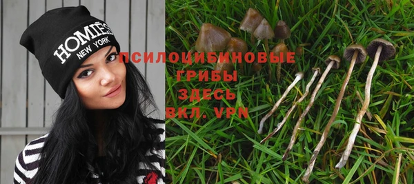 соль курить ск Бородино