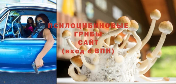 прущие крисы Сосновоборск