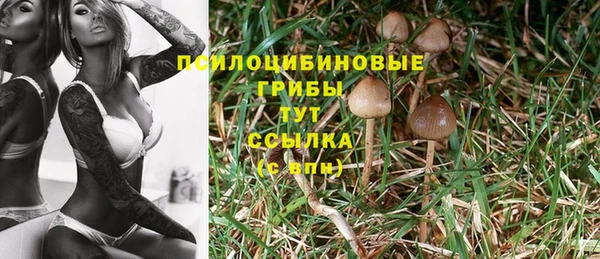 MDMA Premium VHQ Бронницы