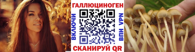 Галлюциногенные грибы мухоморы  купить наркотики цена  Тулун 